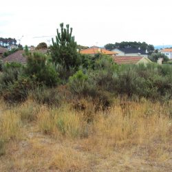 Terreno Póvoa de Sobrinhos Foto 4