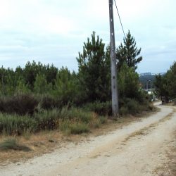 Terreno Póvoa de Sobrinhos Foto 6