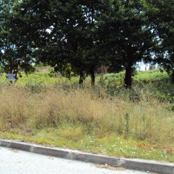 Terreno Tondela Foto 4