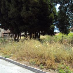 Terreno Tondela Foto 5