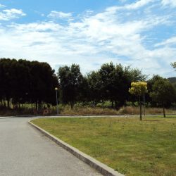 Terreno Tondela Foto 1