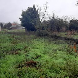 Terreno em Jugueiros Foto 3