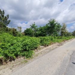 Terreno em S. João de Lourosa Foto 6 Terreno em S. João de Lourosa Foto 6