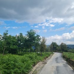 Terreno em S. João de Lourosa Foto 7 Terreno em S. João de Lourosa Foto 7