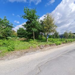 Terreno em S. João de Lourosa Foto 1 Terreno em S. João de Lourosa Foto 1