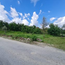 Terreno em S. João de Lourosa Foto 2 Terreno em S. João de Lourosa Foto 2