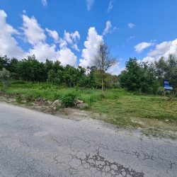 Terreno em S. João de Lourosa Foto 3 Terreno em S. João de Lourosa Foto 3