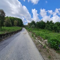 Terreno em S. João de Lourosa Foto 4 Terreno em S. João de Lourosa Foto 4