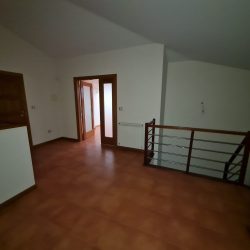 T3 DPX Jugueiros Foto 17